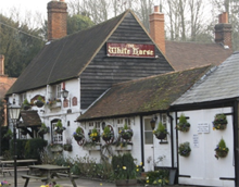 The White Horse