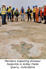 Members inspecting dinosaur footprints in Ardley Fields Quarry, Oxfordshire