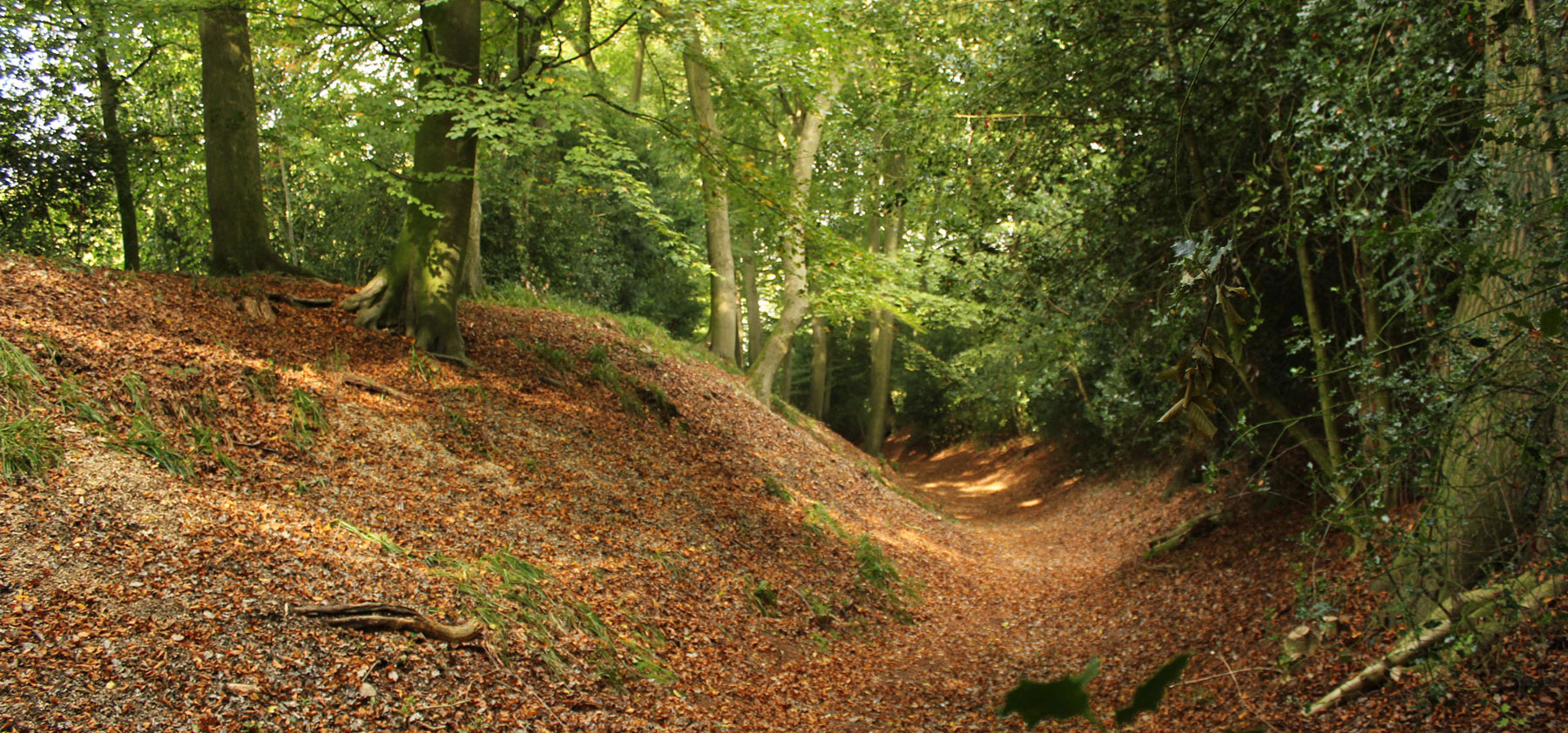 The impressive ditch that surrounds Cholesbury's Iron Age hillfort
