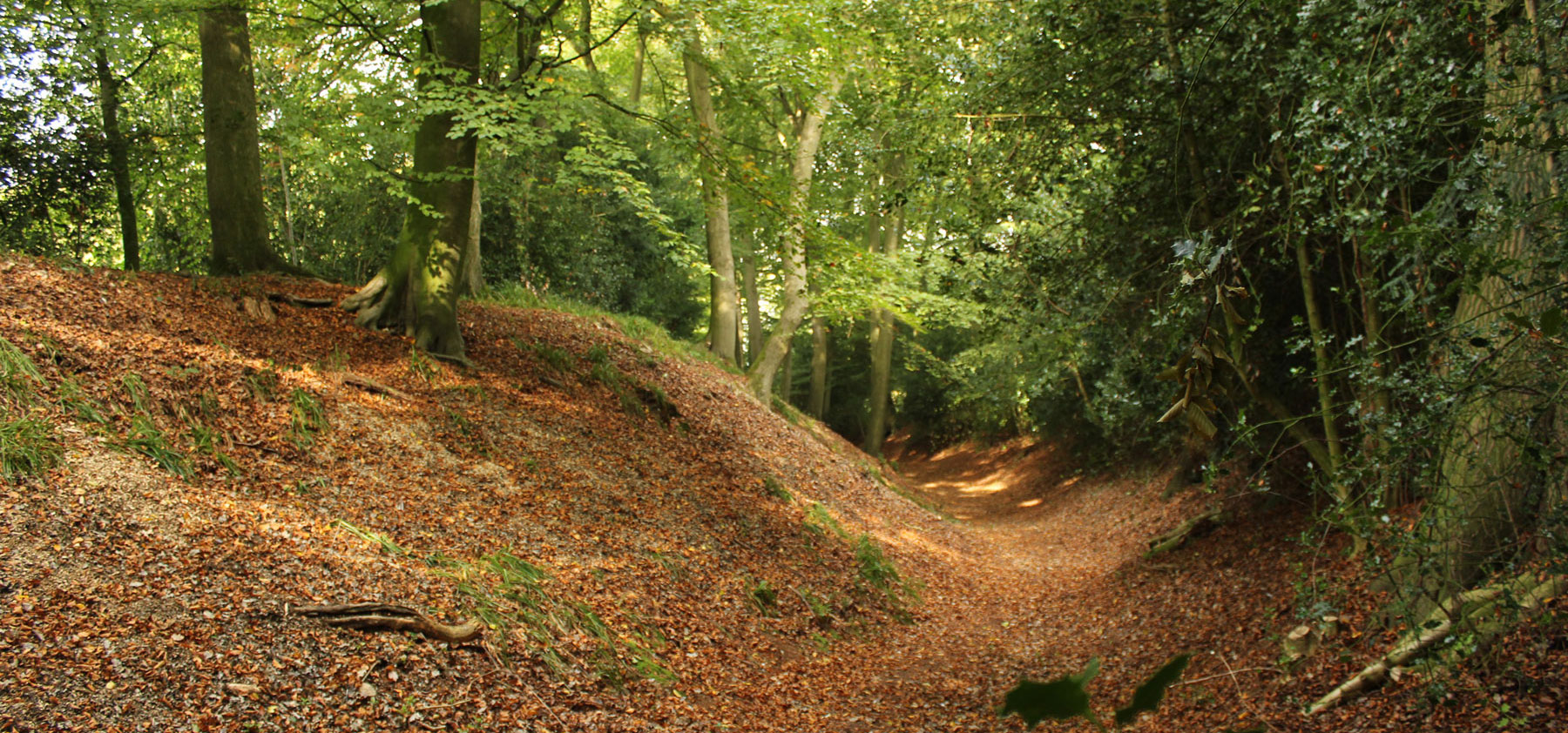 The impressive ditch that surrounds Cholesbury's Iron Age hillfort