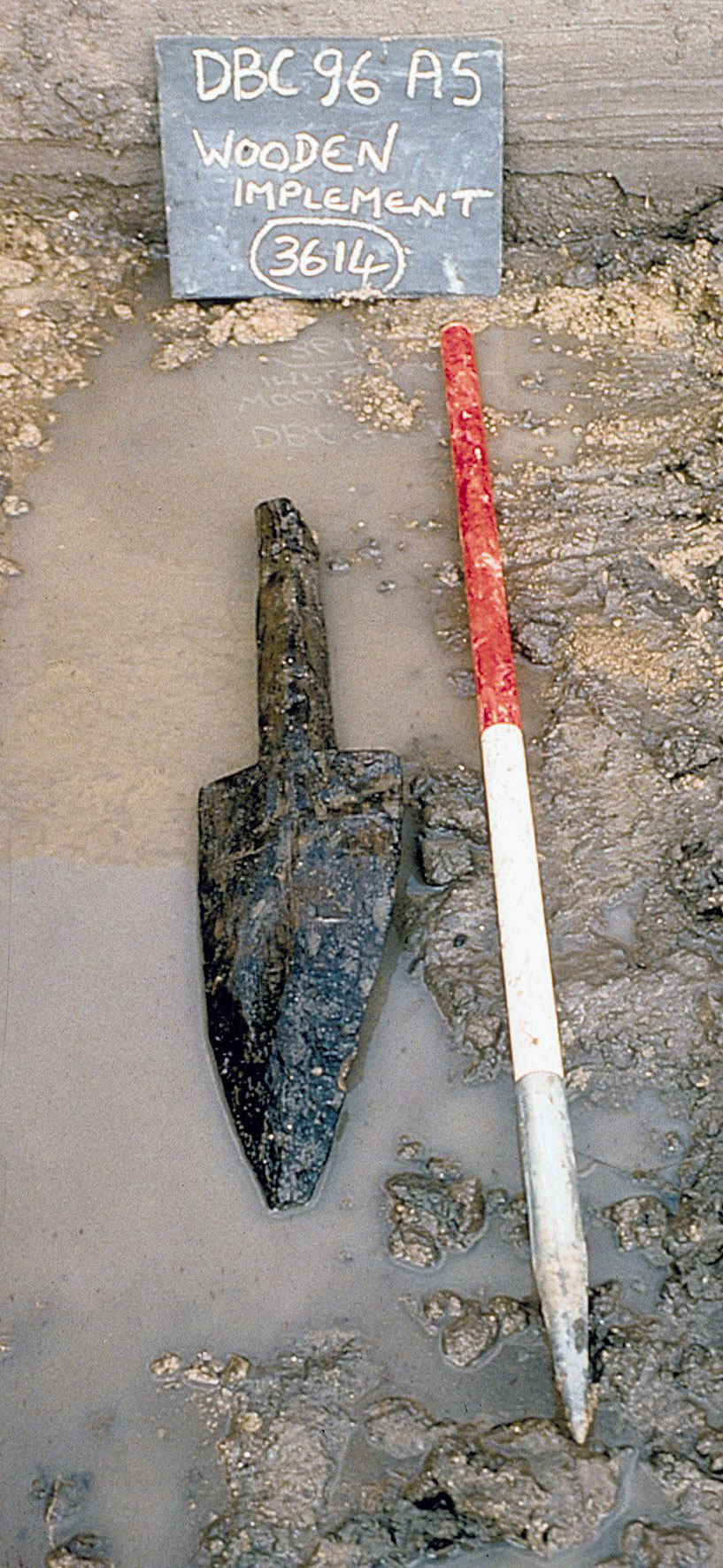 The Bronze Age ard or plougnshare found at Dorney