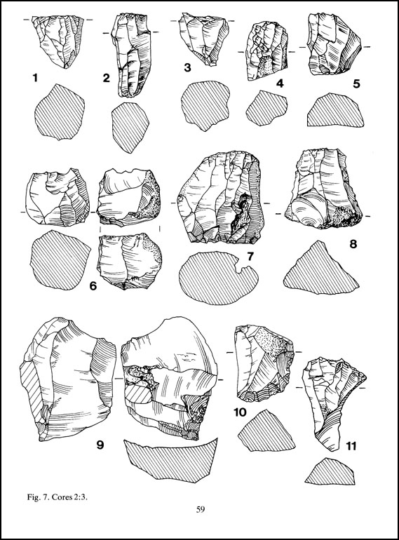 Mesolithic flints from an excavation in Chesham