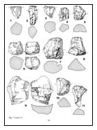 Mesolithic flints from an excavation in Chesham