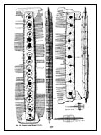 An Anglo-Saxon comb from Walton, Aylesbury